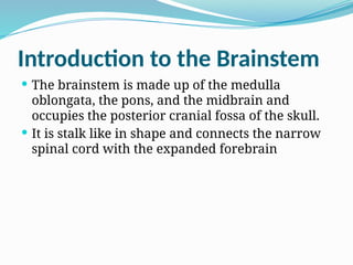 Introduction to the Brainstem
 The brainstem is made up of the medulla
oblongata, the pons, and the midbrain and
occupies the posterior cranial fossa of the skull.
 It is stalk like in shape and connects the narrow
spinal cord with the expanded forebrain
 
