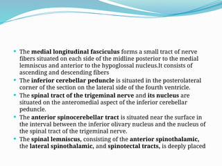  The medial longitudinal fasciculus forms a small tract of nerve
fibers situated on each side of the midline posterior to the medial
lemniscus and anterior to the hypoglossal nucleus.It consists of
ascending and descending fibers
 The inferior cerebellar peduncle is situated in the posterolateral
corner of the section on the lateral side of the fourth ventricle.
 The spinal tract of the trigeminal nerve and its nucleus are
situated on the anteromedial aspect of the inferior cerebellar
peduncle.
 The anterior spinocerebellar tract is situated near the surface in
the interval between the inferior olivary nucleus and the nucleus of
the spinal tract of the trigeminal nerve.
 The spinal lemniscus, consisting of the anterior spinothalamic,
the lateral spinothalamic, and spinotectal tracts, is deeply placed
 
