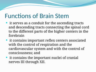 Functions of Brain Stem
 it serves as a conduit for the ascending tracts
and descending tracts connecting the spinal cord
to the different parts of the higher centers in the
forebrain
 it contains important reflex centers associated
with the control of respiration and the
cardiovascular system and with the control of
consciousness; and
 it contains the important nuclei of cranial
nerves III through XII.
 