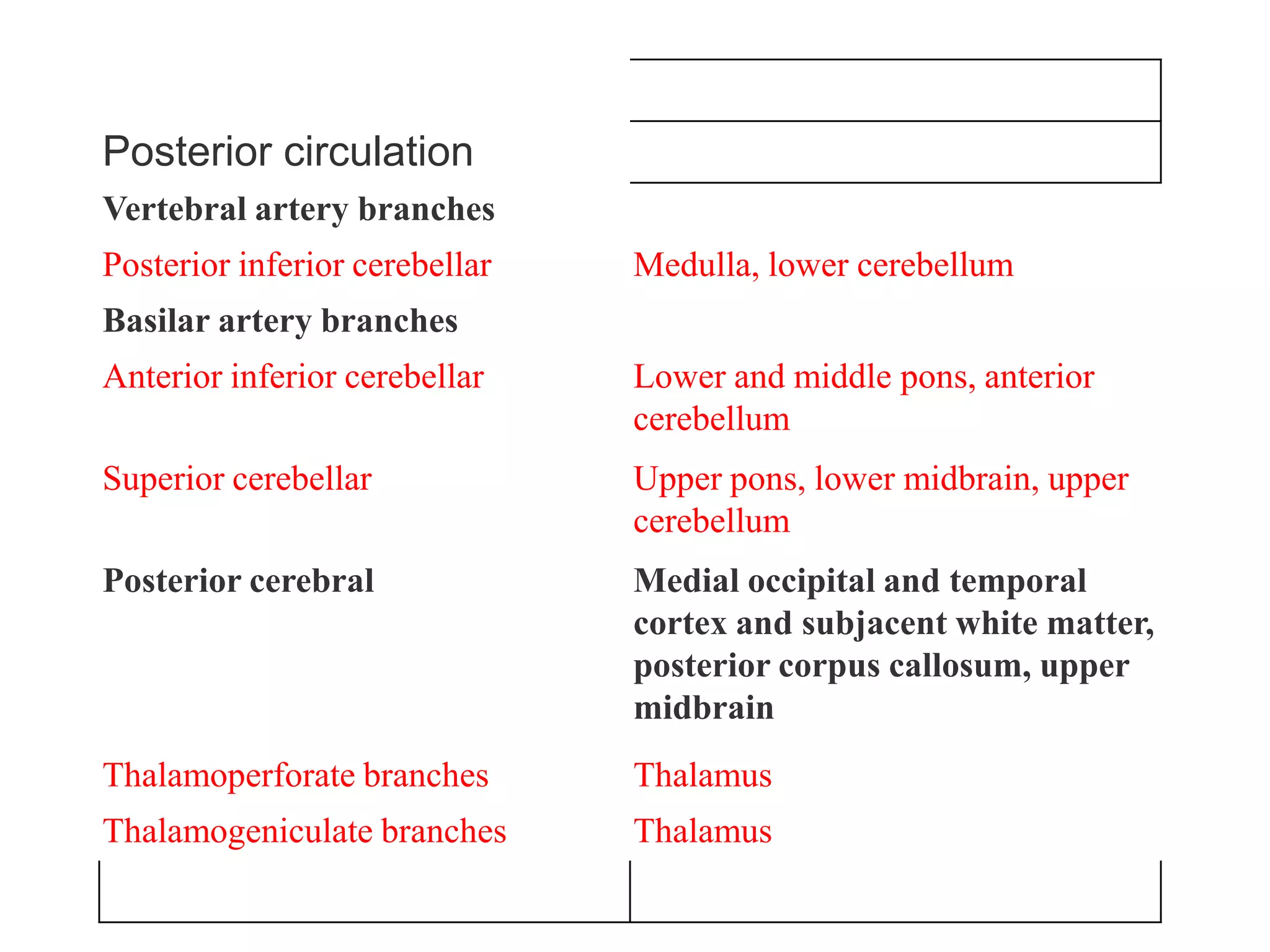 Posterior circulation
Vertebral artery branches
Posterior inferior cerebellar   Medulla, lower cerebellum
Basilar artery branches
Anterior inferior cerebellar    Lower and middle pons, anterior
                                cerebellum
Superior cerebellar             Upper pons, lower midbrain, upper
                                cerebellum
Posterior cerebral              Medial occipital and temporal
                                cortex and subjacent white matter,
                                posterior corpus callosum, upper
                                midbrain
Thalamoperforate branches       Thalamus
Thalamogeniculate branches      Thalamus
 