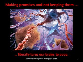 Brains to Poop | PPTX