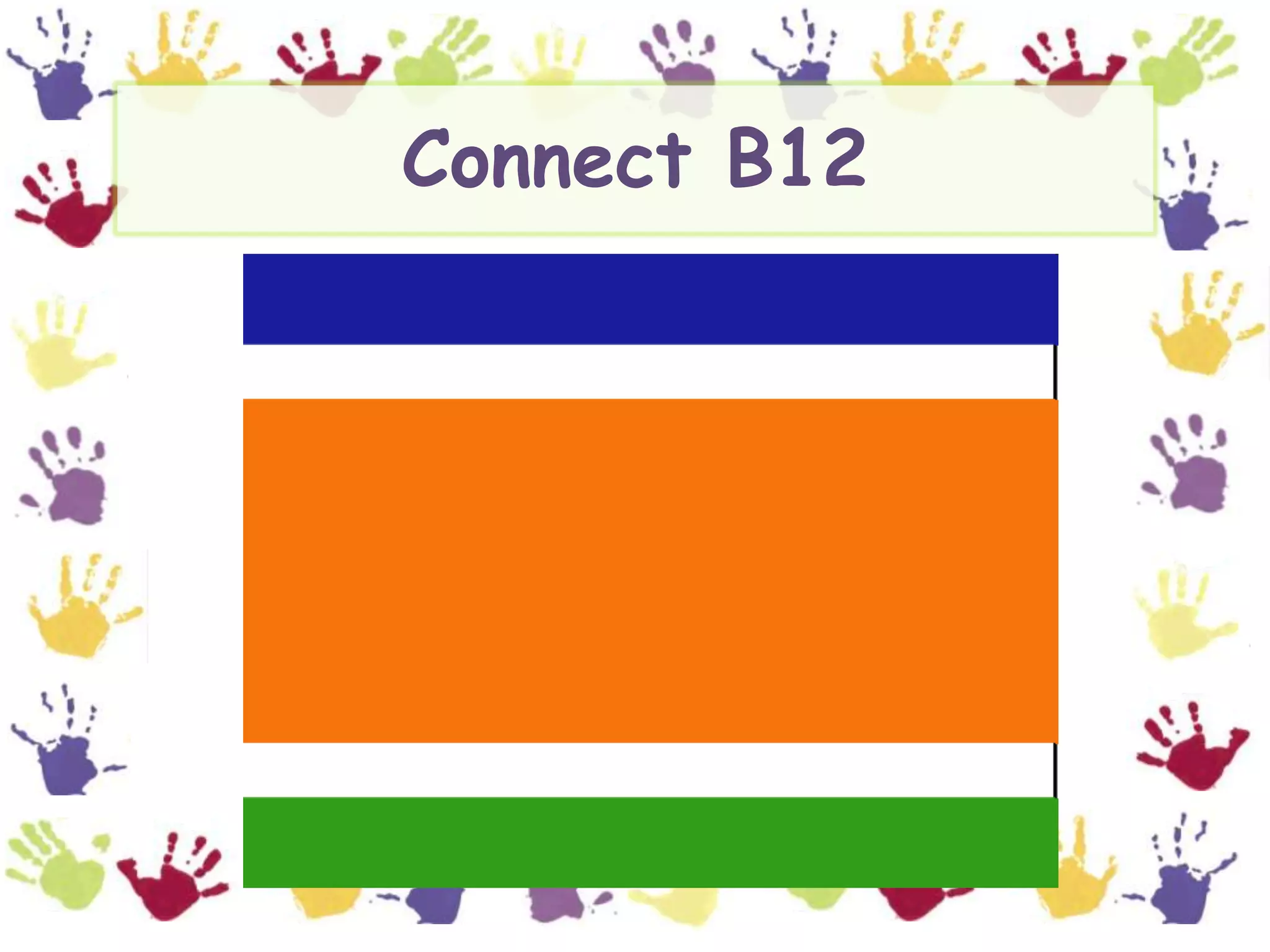 Connect B12