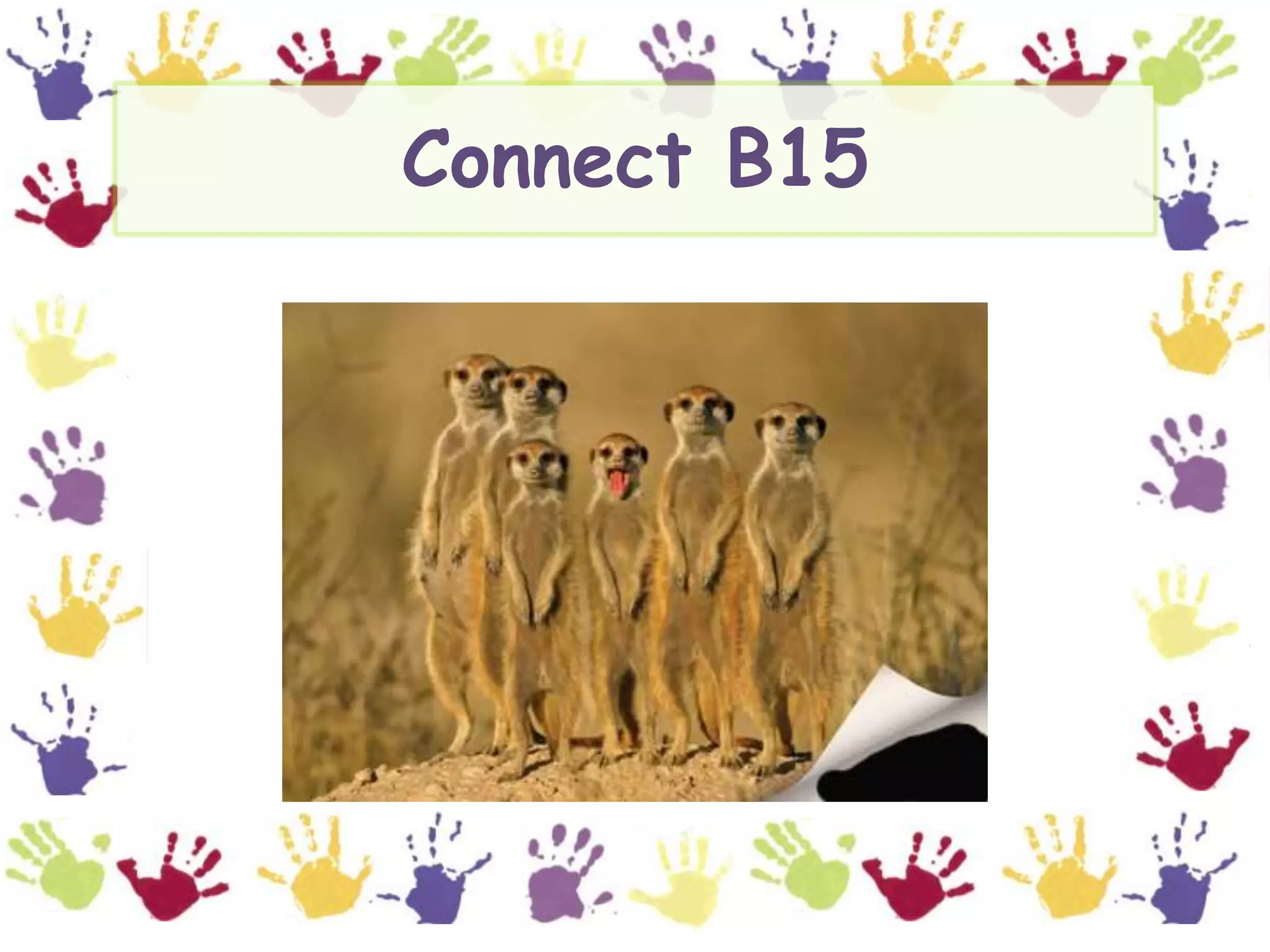 Connect B15