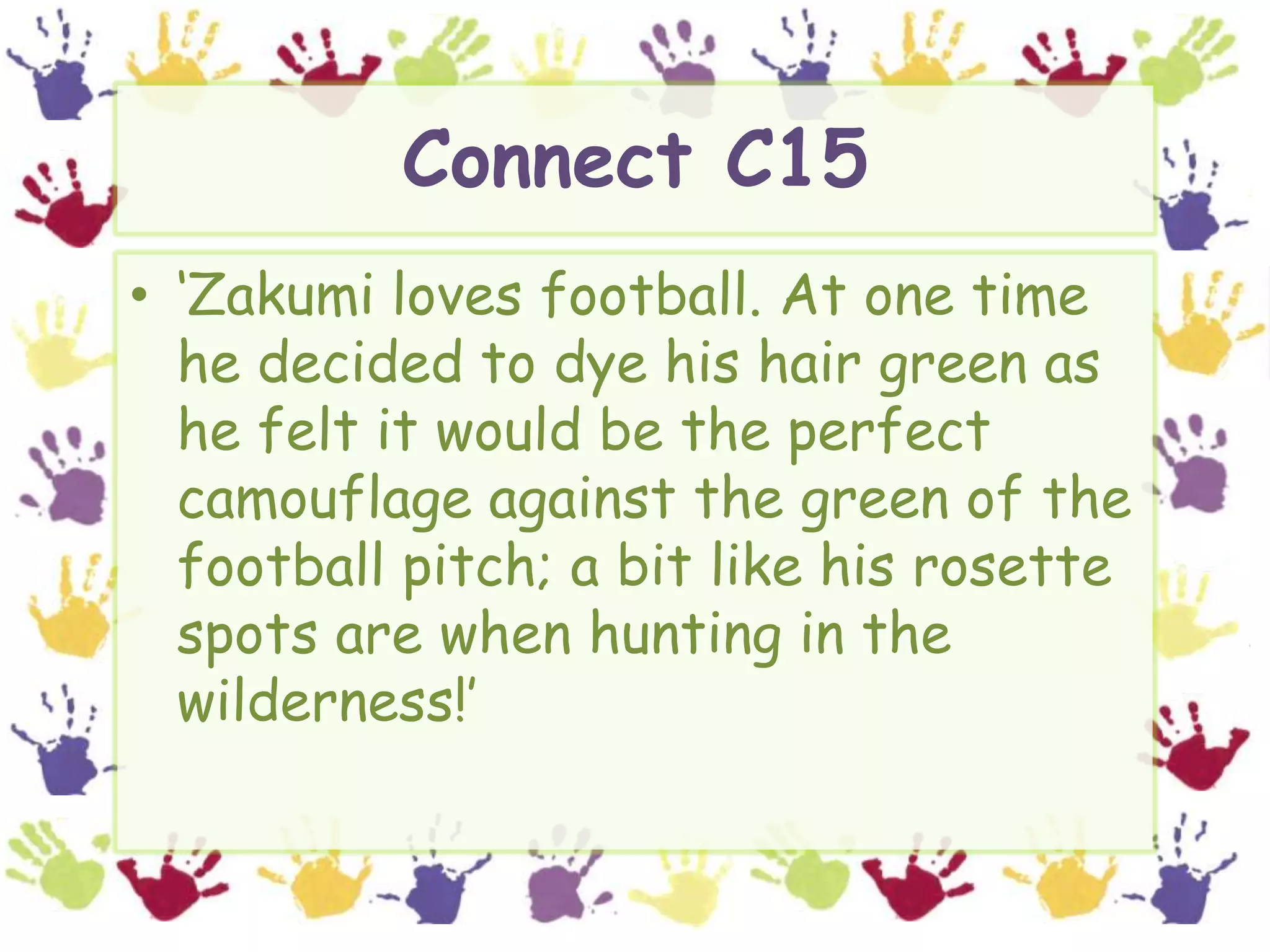 Connect C15‘Zakumi loves football. At one time he decided to dye his hair green as he felt it would be the perfect camouflage against the green of the football pitch; a bit like his rosette spots are when hunting in the wilderness!’