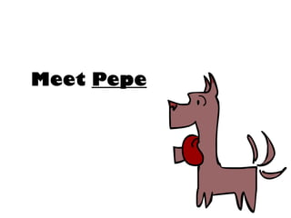 Meet Pepe
 
