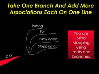 Take One Branch And Add More Associations Each On One Line CAT Purring Fur Fussy eater Stopping out You are Mind Mapping using roots and branches 