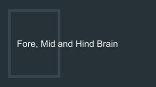Fore, Mid and Hind Brain
 