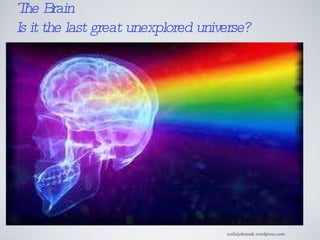 suifaijohnmak.wordpress.com The Brain Is it the last great unexplored universe? 