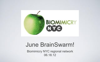 June BrainSwarm!
Biomimicry NYC regional network
           06.18.12
 