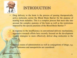 Blood–brain barrier - Wikipedia