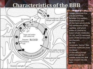 Characteristics of the BBB
(1)tight junctions that
seal the pathway
between the capillary
(endothelial) cells
(2) the lipid nature of the
cell membranes of the
capillary wall which
makes it a barrier to
water-soluble molecules
(3), (4), and (5) represent
some of the carriers and
ion channels
(6) The
'enzymatic barrier 'that
removes molecules from
the blood
(7) the efflux pumps
which extrude fat-
soluble molecules that
have crossed into the
cells .
4/18/2019 11Apeejay Stya University
 