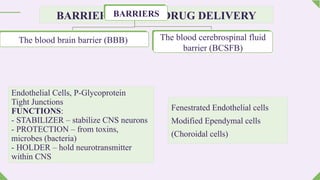brain specific drug delivery system. M. pharm (2nd sem.) | PPTX