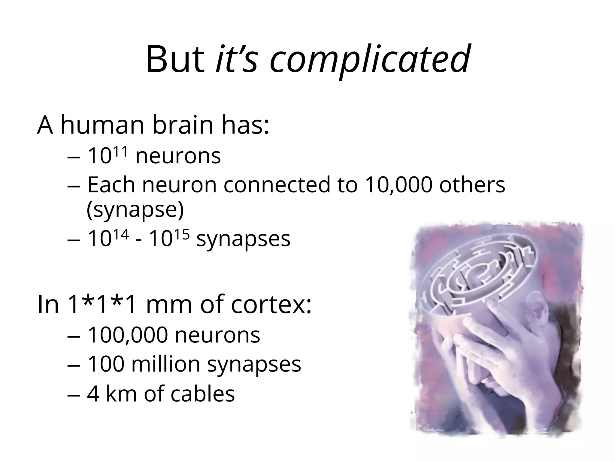 But it’s complicated
A human brain has:
–  1011 neurons
–  Each neuron connected to 10,000 others
(synapse)
–  1014 - 1015 synapses
In 1*1*1 mm of cortex:
–  100,000 neurons
–  100 million synapses
–  4 km of cables
 