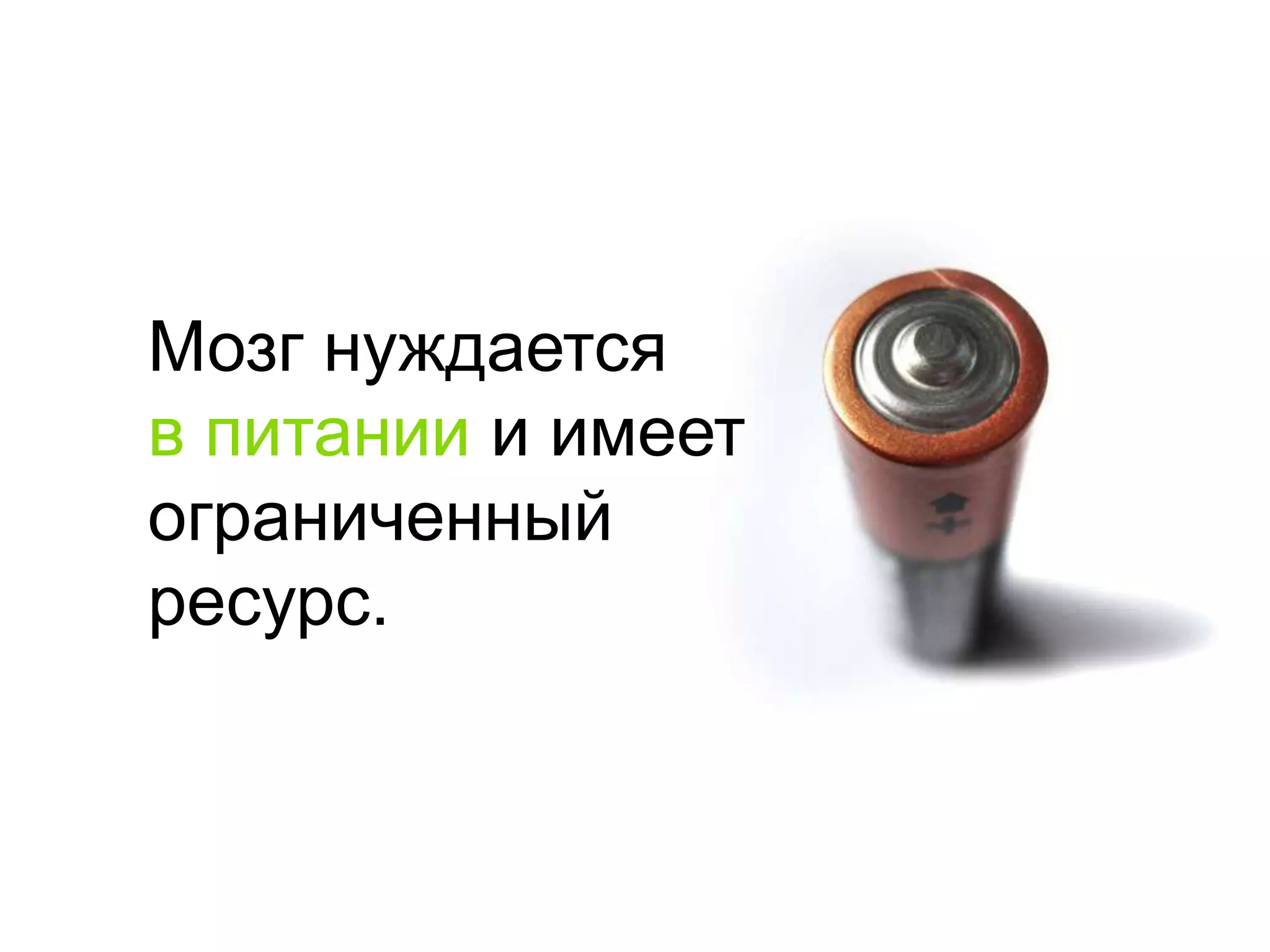 Мозг нуждаетсяв питании и имеетограниченныйресурс.