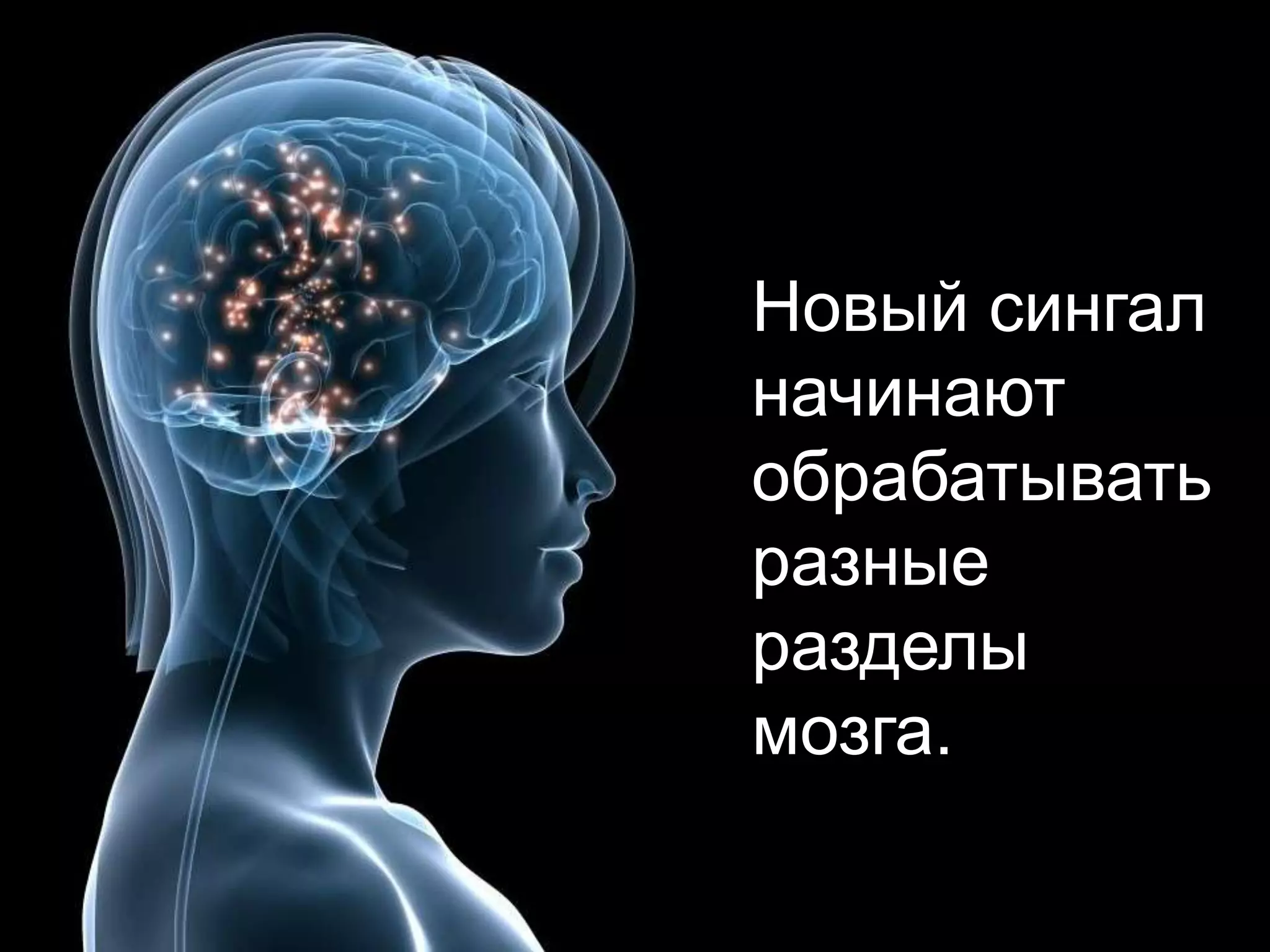 Новый сингал начинают обрабатыватьразные разделы мозга.