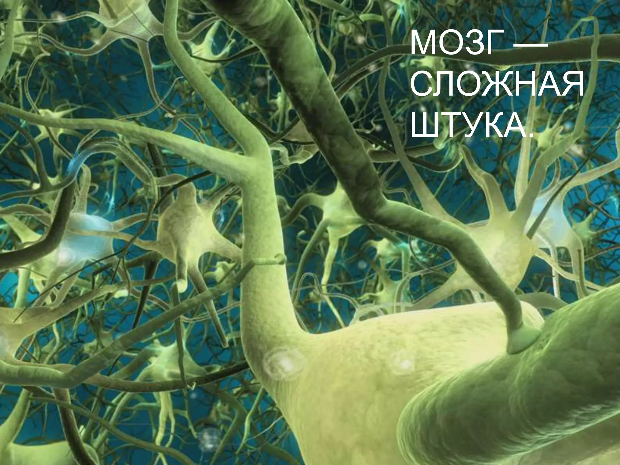 МОЗГ — СЛОЖНАЯ ШТУКА.