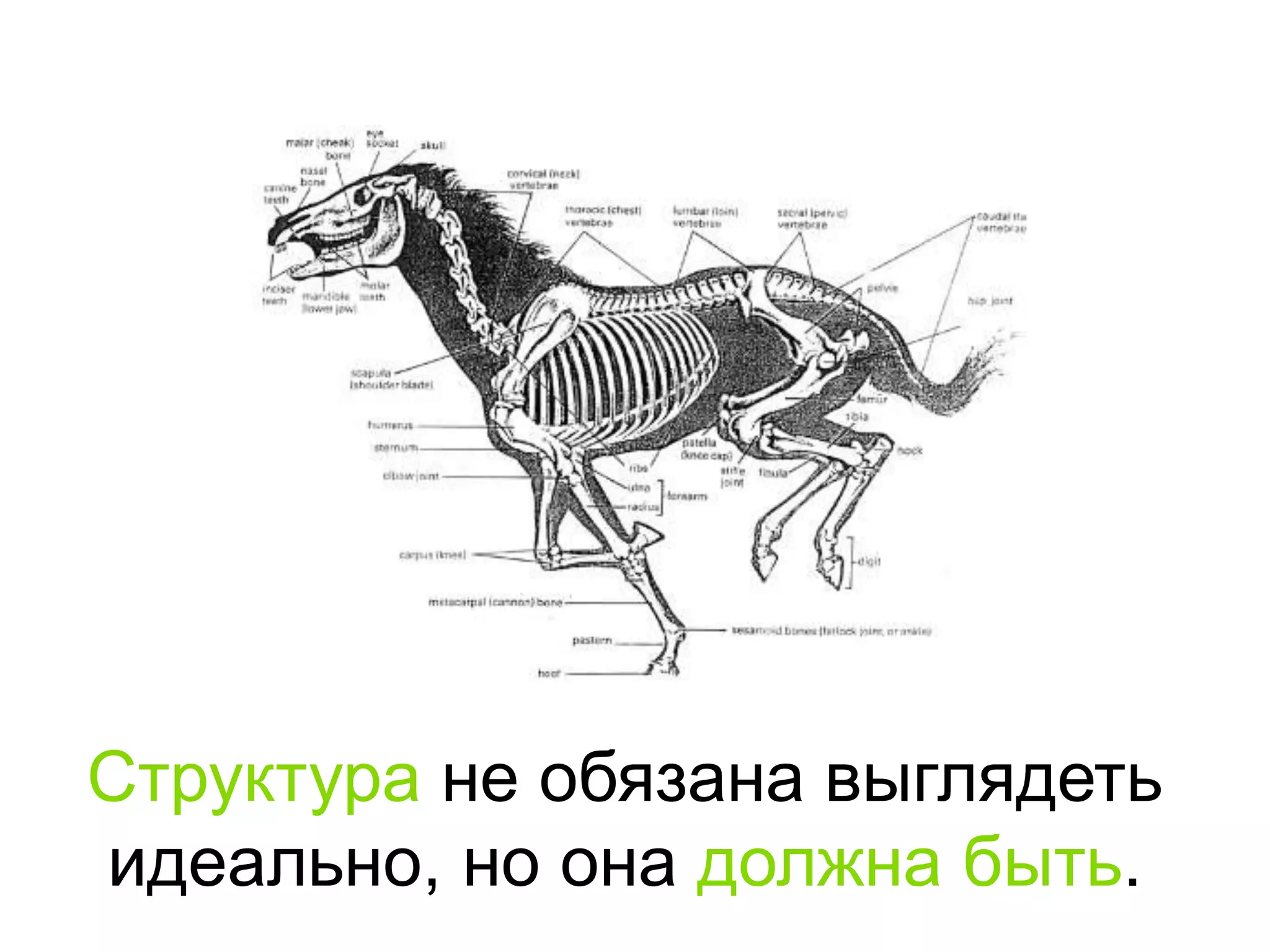 Структура не обязана выглядеть идеально, но она должна быть.