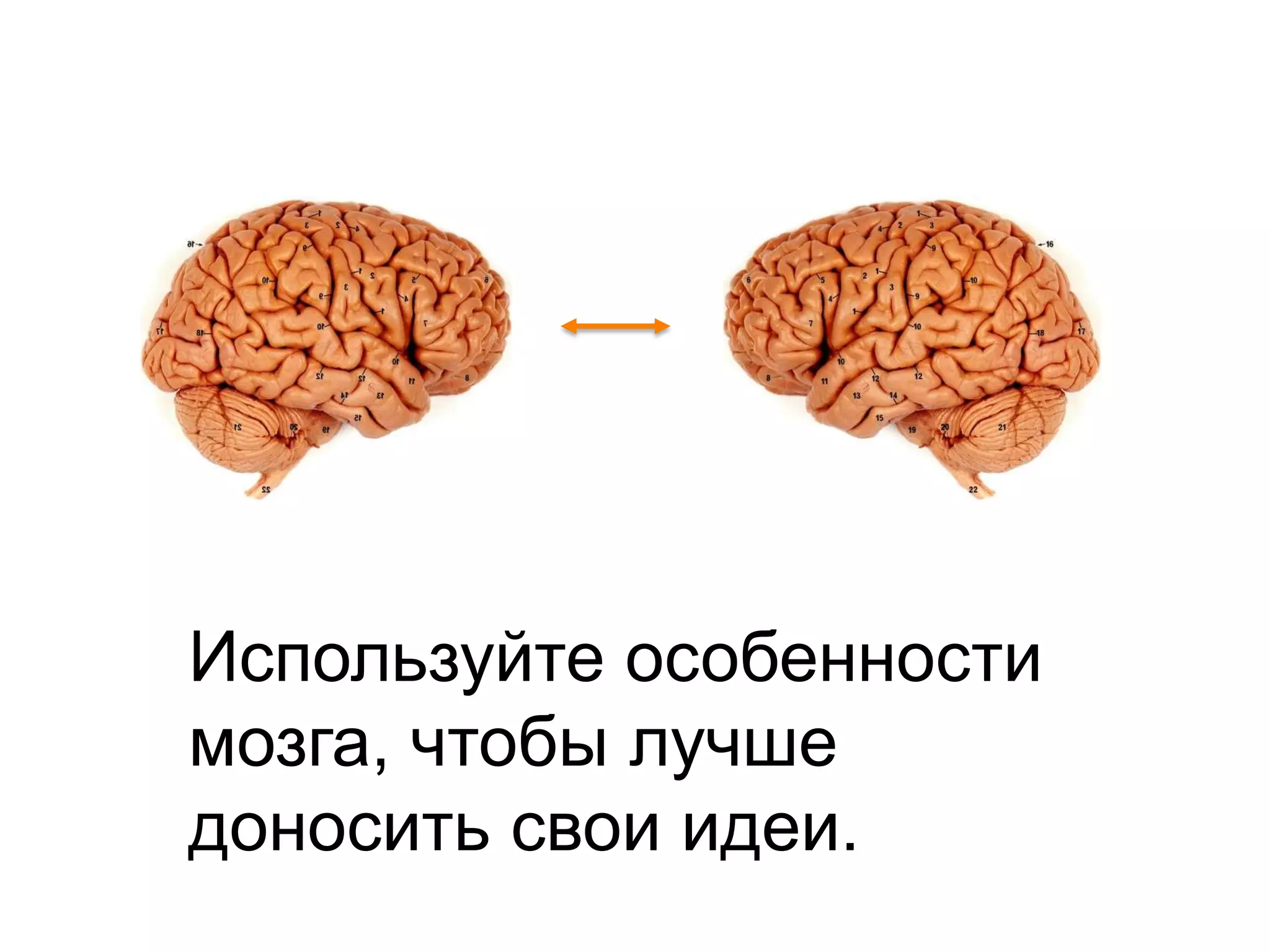 Используйте особенностимозга, чтобы лучше доносить свои идеи.