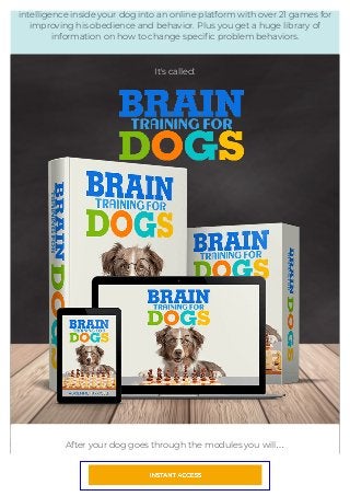 Brain training for dogs   adrienne farricelli's online dog trainer #dog #dogs or #cat Slide 8