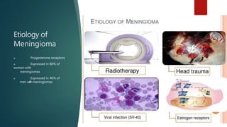Etiology of
Meningioma
u Progesterone receptors
u Expressed in 80% of
women with
meningiomas
u Expressed in 40% of
men with meningiomas
 