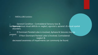 u PARITAL LOBE Functions :
u General Condition : Contralateral Sensory loss &
hemiparesis,
Homonymous visual deficits or neglect, agnosia's, apraxia's & visual-spatial
disorders.
u If Dominant Parietal Lobe is involved, Aphasia & Seizures may be
present.
u If Non-Dominant Parietal Lobe is Involved, Contralateral
neglect &
decreased awareness of impairments can commonly be found.
 