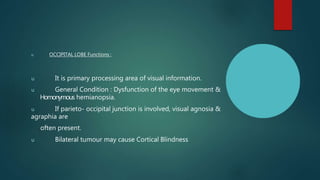 u OCCIPITAL LOBE Functions :
u It is primary processing area of visual information.
u General Condition : Dysfunction of the eye movement &
Homonymous hemianopsia.
u If parieto- occipital junction is involved, visual agnosia &
agraphia are
often present.
u Bilateral tumour may cause Cortical Blindness
 