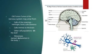 u CNS Tumors Tumors of the
nervous system may arise from
u Cells of the coverings –
meninges, bone, subcutaneous
u Cells intrinsic to the brain
u Other cell populations w
i
t
h
i
n
the skull
u Metastases
(spread f
r
o
melsewhere in
the body )
 