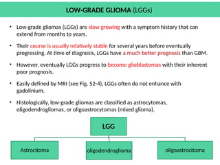 Lggs Blog Comprehensive Overview of Brain Tumors: Types, Diagnosis, and Treatment ...