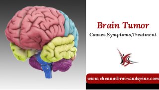 www.chennaibrainandspine.com
Brain Tumor
Causes,Symptoms,Treatment
 