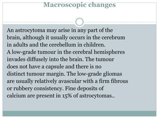 Macroscopic changes
An astrocytoma may arise in any part of the
brain, although it usually occurs in the cerebrum
in adults and the cerebellum in children.
A low-grade tumour in the cerebral hemispheres
invades diffusely into the brain. The tumour
does not have a capsule and there is no
distinct tumour margin. The low-grade gliomas
are usually relatively avascular with a firm fibrous
or rubbery consistency. Fine deposits of
calcium are present in 15% of astrocytomas..
 