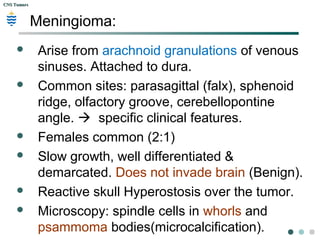 CNS TumorsCNS Tumors
Meningioma:
 Arise from arachnoid granulations of venous
sinuses. Attached to dura.
 Common sites: parasagittal (falx), sphenoid
ridge, olfactory groove, cerebellopontine
angle.  specific clinical features.
 Females common (2:1)
 Slow growth, well differentiated &
demarcated. Does not invade brain (Benign).
 Reactive skull Hyperostosis over the tumor.
 Microscopy: spindle cells in whorls and
psammoma bodies(microcalcification).
 