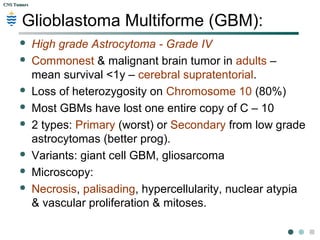 CNS TumorsCNS Tumors
Glioblastoma Multiforme (GBM):
 High grade Astrocytoma - Grade IV
 Commonest & malignant brain tumor in adults –
mean survival <1y – cerebral supratentorial.
 Loss of heterozygosity on Chromosome 10 (80%)
 Most GBMs have lost one entire copy of C – 10
 2 types: Primary (worst) or Secondary from low grade
astrocytomas (better prog).
 Variants: giant cell GBM, gliosarcoma
 Microscopy:
 Necrosis, palisading, hypercellularity, nuclear atypia
& vascular proliferation & mitoses.
 