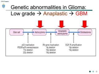 CNS TumorsCNS Tumors
Genetic abnormalities in Glioma:
Low grade  Anaplastic  GBM
 