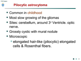 CNS TumorsCNS Tumors
Pilocytic astrocytoma
 Common in childhood
 Most slow growing of the gliomas
 Sites: cerebellum, around 3rd
Ventricle. optic
nerve.
 Grossly cystic with mural nodule
 Microscopic
elongated hair-like (pilocytic) elongated
cells & Rosenthal fibers.
 