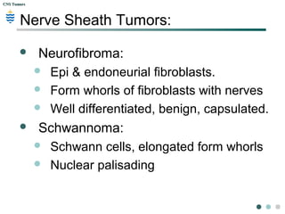 CNS TumorsCNS Tumors
Nerve Sheath Tumors
 