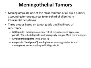 Meningothelial Tumors
• Meningiomas are one of the most common of all brain tumors,
accounting for one-quarter to one-third of all primary
intracranial neoplasms
• Three groups based on tumor grade and likelihood of
recurrence
– WHO grade I meningiomas - low risk of recurrence and aggressive
growth. These histologically and biologically benign. Most common type.
– Atypical meningioma (who grade ii)
– Anaplastic (“malignant”) meningioma - most aggressive form of
meningioma, corresponding to WHO grade III
 