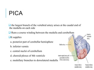 Pica Course Brain vascular anatomy with MRA and MRI correlation | PPTX