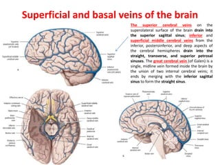 Superficial and basal veins of the brain
The superior cerebral veins on the
superolateral surface of the brain drain into
the superior sagittal sinus; inferior and
superficial middle cerebral veins from the
inferior, posteroinferior, and deep aspects of
the cerebral hemispheres drain into the
straight, transverse, and superior petrosal
sinuses. The great cerebral vein (of Galen) is a
single, midline vein formed inside the brain by
the union of two internal cerebral veins; it
ends by merging with the inferior sagittal
sinus to form the straight sinus.
 