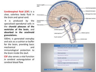 Cerebrospinal fluid (CSF) is a
clear, colorless body fluid in
the brain and spinal cord.
It is produced by the
specialised ependymal cells in
the choroid plexuses of the
ventricles of the brain, and
absorbed in the arachnoid
granulations.
500mL is generated everyday
and acts as a cushion or buffer
for the brain, providing basic
mechanical and
immunological protection to
the brain inside the skull.
CSF also serves a vital function
in cerebral autoregulation of
cerebral blood flow
 