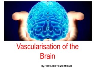 Vascularisation of the
Brain
By FOUEDJIO ETIENNE MED500
 