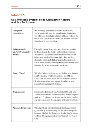 Infoboxen                                                                 251


Infobox 6
Das limbische System, seine wichtigsten Akteure
und ihre Funktionen

  Amygdala             Die mächtige graue Eminenz und Schaltstelle.
  (Mandelkern)         Sie ist maßgeblich an der emotionalen Bewertung
                       von Objekten beteiligt und ein wichtiger Teil des Ba-
                       lance- und Dominanz-Systems. Sie ist aber auch am
                       Stimulanz-System beteiligt.


  Orbitofrontaler      Ebenfalls an der Bewertung von Objekten beteiligt.
  und ventromedialer   In ihnen laufen die Motiv- und Emotionssysteme
  Kortex:              zusammen. Auch emotionale multisensorische Er-
                       fahrungen werden hier verknüpft. Hier werden
                       ebenfalls emotionale Erfahrungen abgespeichert.
                       Beide Bereiche sind wichtige Komponenten des emo-
                       tionalen Rechenzentrums des Neokortex.


  Gyrus Cinguli        Wichtige Schnittstelle zwischen limbischem System
                       und Neokortex. Wird bei Emotions- und Motiv-
                       Konflikten aktiviert. Stark an der Konstruktion des
                       „Ich-Bewusstseins“ und an der Berechnung von
                       Zukunftserwartungen beteiligt.


  Hippocampus          Emotionales Lernzentrum. Verknüpft Objekt- und
                       Situationsmerkmale mit emotionaler Bewertung und
                       speichert Erfahrung im Neokortex ab. Nicht zustän-
                       dig für Lernen von Bewegungen und reinen Fakten.


  Nucleus Accumbens    Wichtiger Kern im Stimulanz-/Belohnungssystem
                       („Lustkern“). Mit zuständig für die Belohnungsvor-
                       hersage. Als Teil der Basalganglien ist das Striatum
                       wichtige Übergangsstation vom Wunsch zur Hand-
                       lung.
 