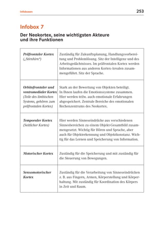 Infoboxen                                                                    253


Infobox 7
Der Neokortex, seine wichtigsten Akteure
und ihre Funktionen

  Präfrontaler Kortex     Zuständig für Zukunftsplanung, Handlungsvorberei-
  („Stirnhirn“)           tung und Problemlösung. Sitz der Intelligenz und des
                          Arbeitsgedächtnisses. Im präfrontalen Kortex werden
                          Informationen aus anderen Kortex-Arealen zusam-
                          mengeführt. Sitz der Sprache.


  Orbitofrontaler und     Stark an der Bewertung von Objekten beteiligt.
  ventromedialer Kortex   In Ihnen laufen die Emotionssysteme zusammen.
  (Teile des limbischen   Hier werden teilw. auch emotionale Erfahrungen
  Systems, gehören zum    abgespeichert. Zentrale Bereiche des emotionalen
  präfrontalen Kortex)    Rechenzentrums des Neokortex.


  Temporaler Kortex       Hier werden Sinneseindrücke aus verschiedenen
  (Seitlicher Kortex)     Sinnesbereichen zu einem Objekt-Gesamtbild zusam-
                          mengesetzt. Wichtig für Hören und Sprache, aber
                          auch für Objekterkennung und Objektkonstanz. Wich-
                          tig für das Lernen und Speicherung von Information.


  Motorischer Kortex      Zuständig für die Speicherung und mit zuständig für
                          die Steuerung von Bewegungen.


  Sensomotorischer        Zuständig für die Verarbeitung von Sinneseindrücken
  Kortex                  z. B. aus Fingern, Armen, Körperstellung und Körper-
                          haltung. Mit zuständig für Koordination des Körpers
                          in Zeit und Raum.
 