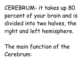 CEREBRUM- it takes up 80
percent of your brain and is
divided into two halves, the
right and left hemisphere.
The main function of the
Cerebrum:
 