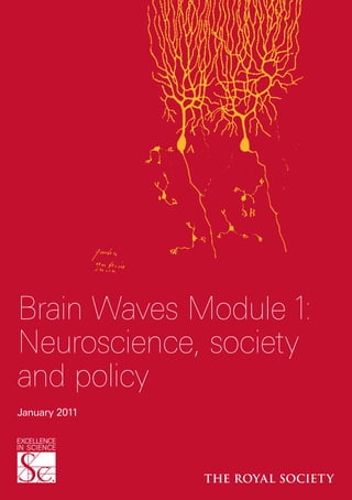 Neuroscience, society and policy