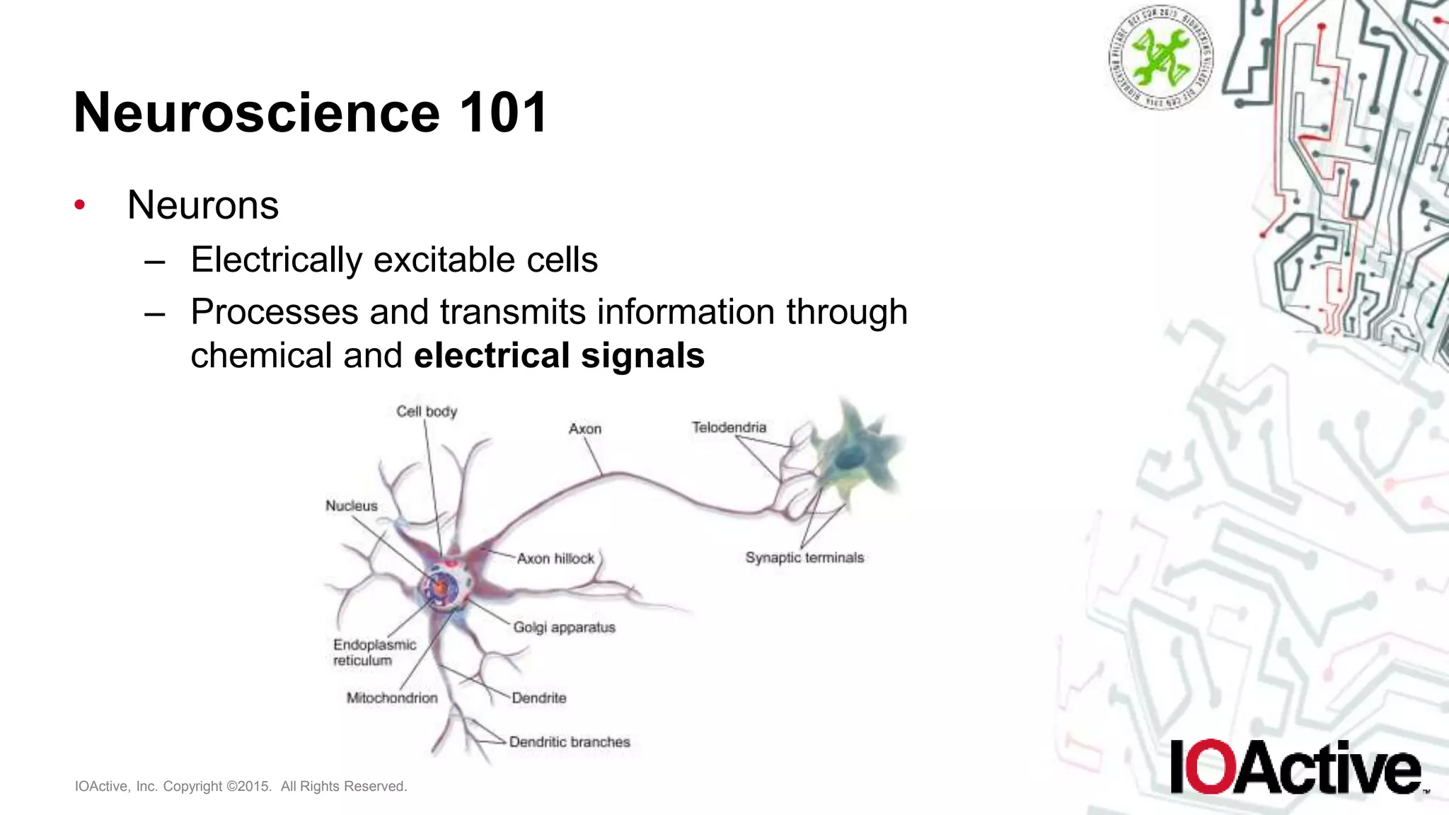 IOActive, Inc. Copyright ©2015. All Rights Reserved.
Neuroscience 101
• Neurons
– Electrically excitable cells
– Processes and transmits information through
chemical and electrical signals
 