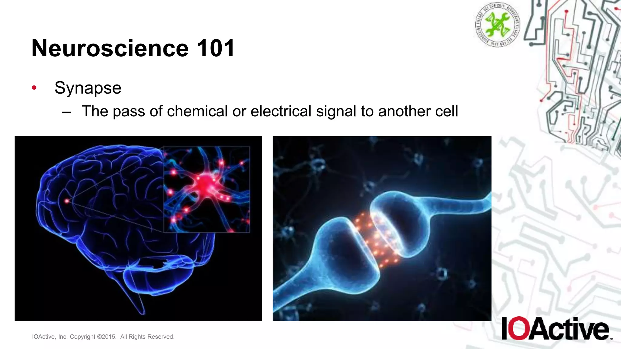IOActive, Inc. Copyright ©2015. All Rights Reserved.
Neuroscience 101
• Synapse
– The pass of chemical or electrical signal to another cell
 