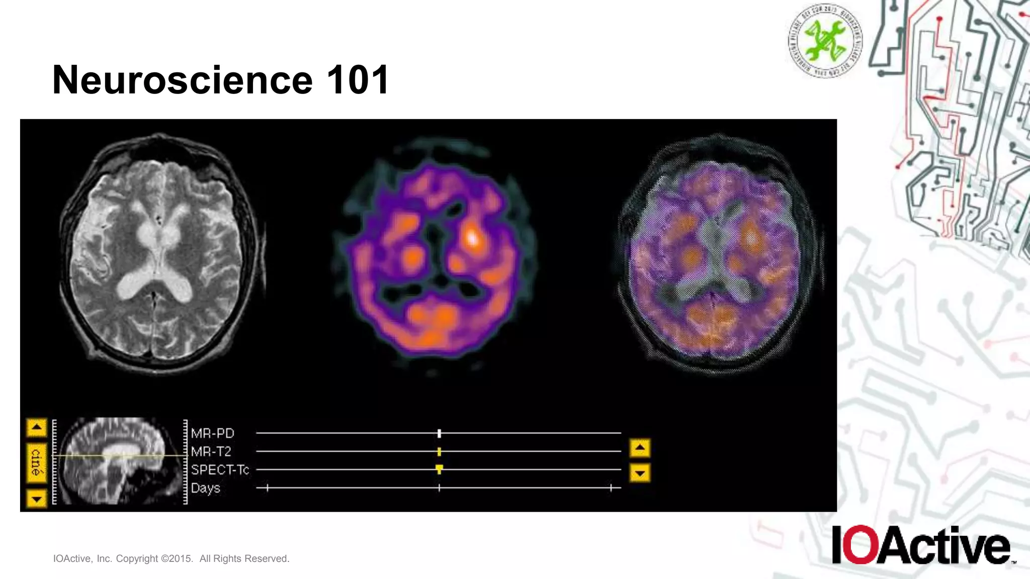 IOActive, Inc. Copyright ©2015. All Rights Reserved.
Neuroscience 101
 