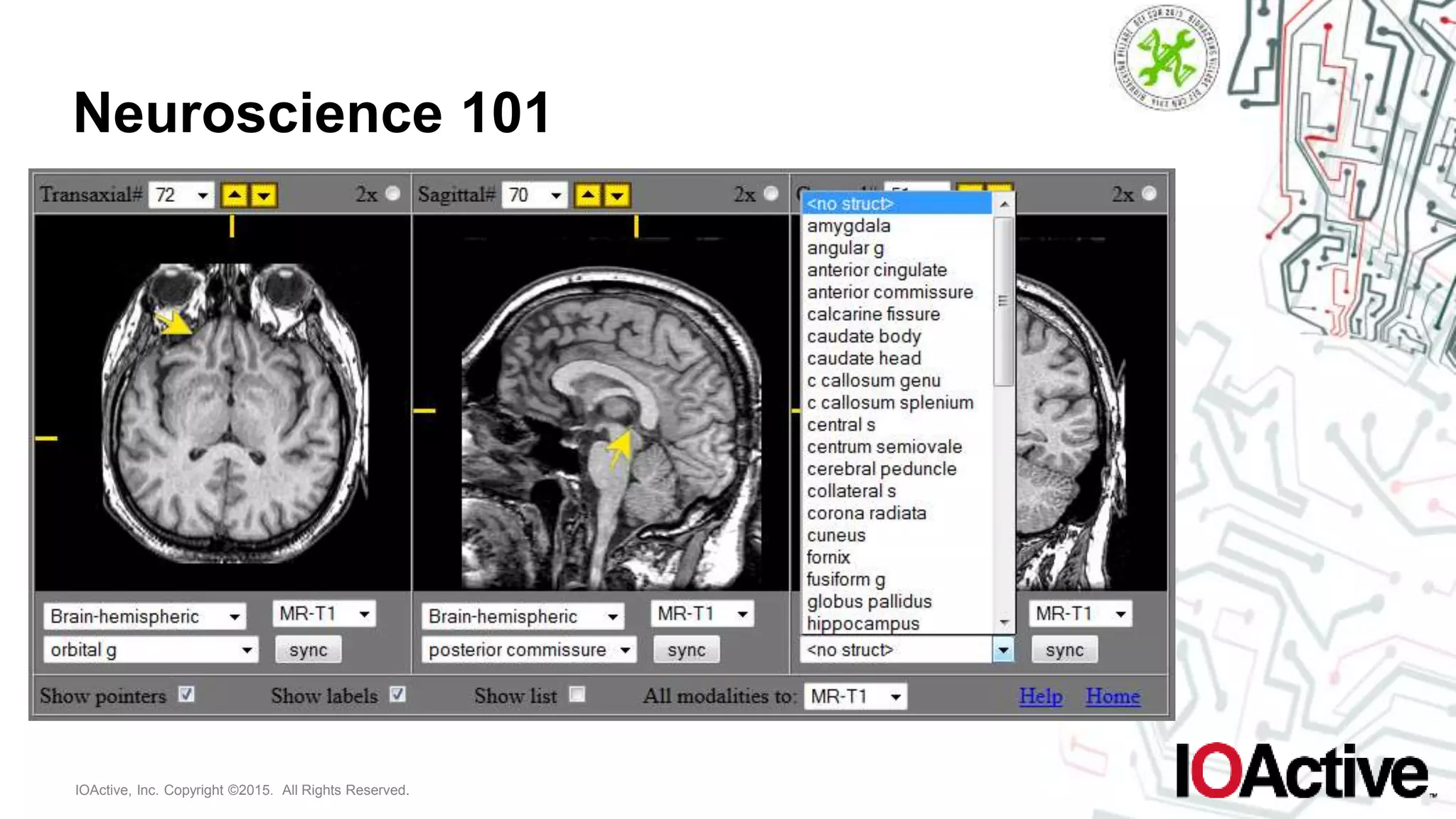 IOActive, Inc. Copyright ©2015. All Rights Reserved.
Neuroscience 101
 
