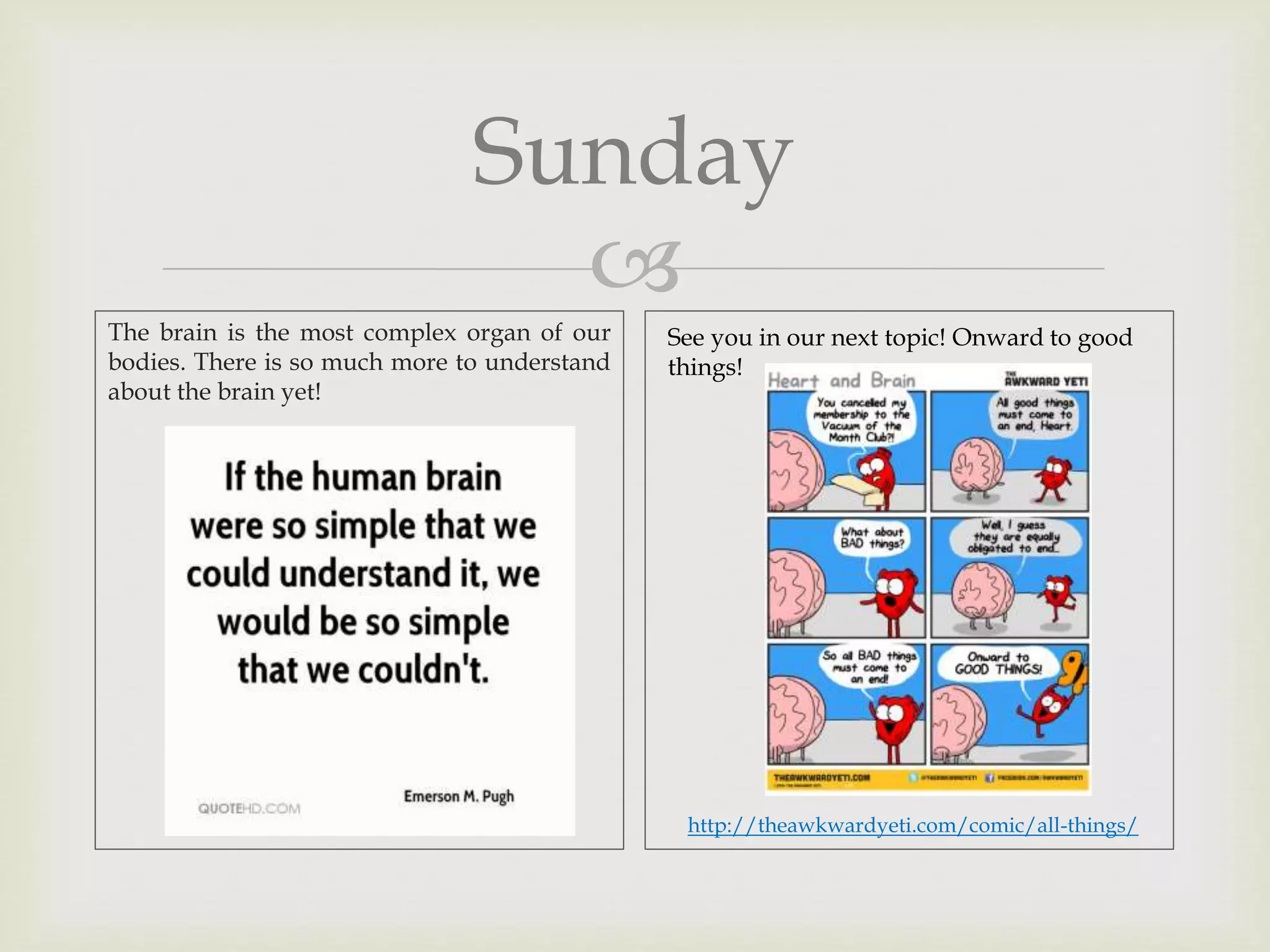 
Sunday
The brain is the most complex organ of our
bodies. There is so much more to understand
about the brain yet!
See you in our next topic! Onward to good
things!
http://theawkwardyeti.com/comic/all-things/
 