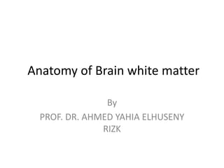 Anatomy of Brain white matter
By
PROF. DR. AHMED YAHIA ELHUSENY
RIZK
 